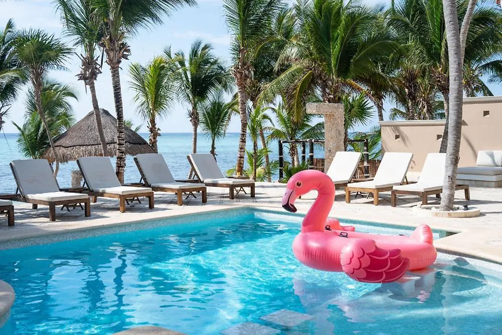 Holiday home Mansion Villa In Soliman Bay For 34 Guests! Tulum Mexico